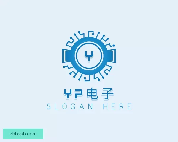 介绍yp电子